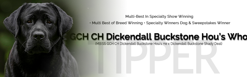 Dickendall Buckstone Hou's Who